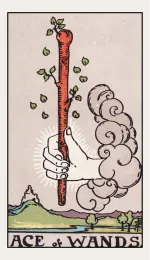 Ace of Wands